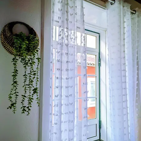 Konukevi Downtown Angra do Heroísmo